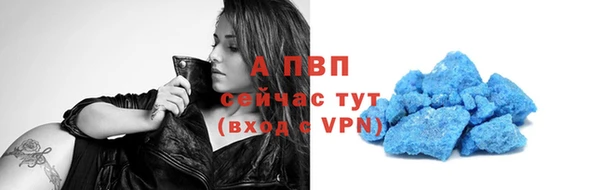 трава Магас