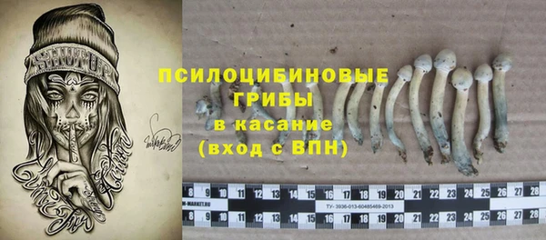прущие крисы Магадан