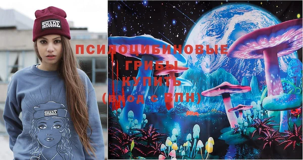 прущие крисы Магадан