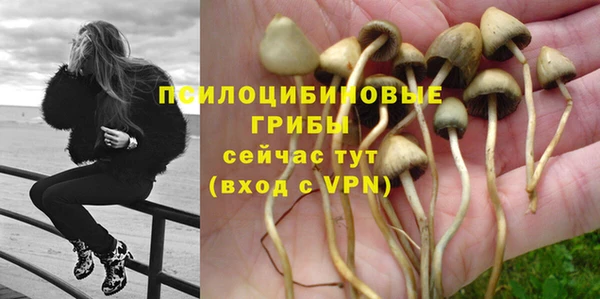 трава Майский